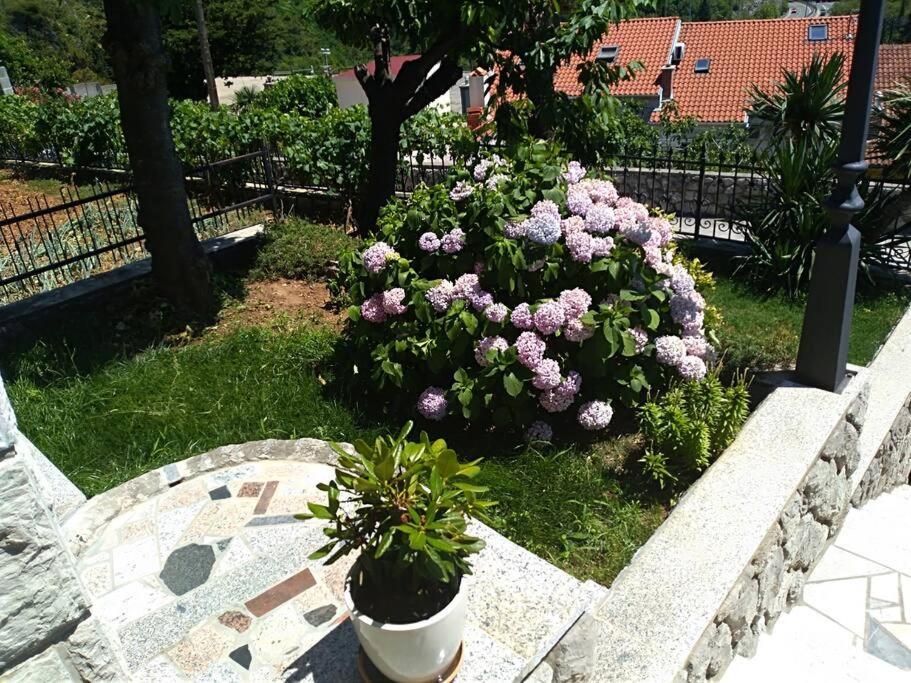 Mediterranean Garden * Rijeka