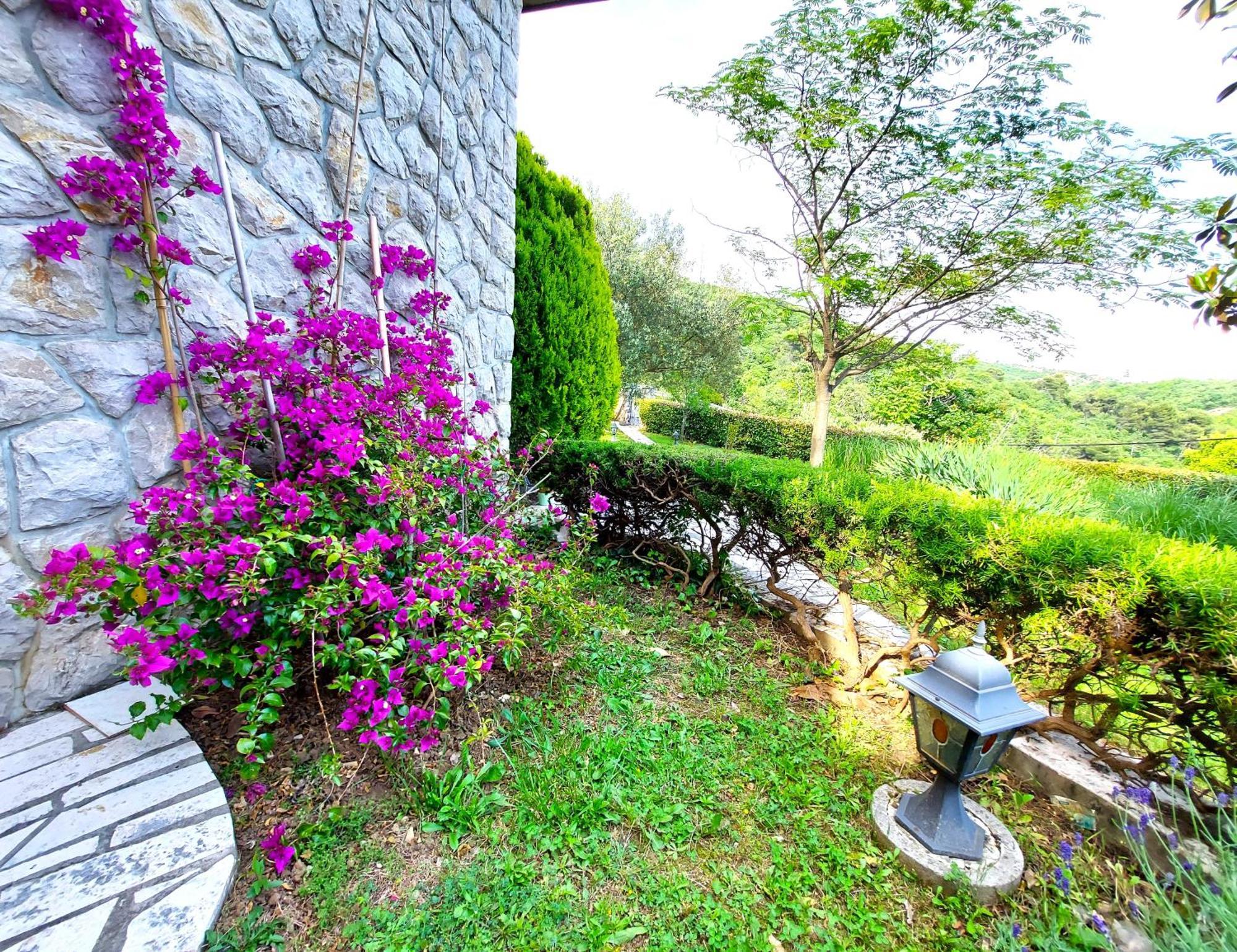 Mediterranean Garden *